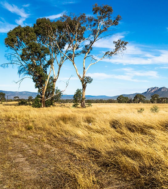 Box Hill Land For Sale