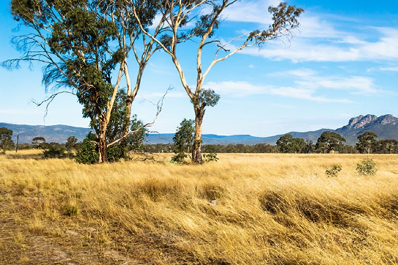 Box Hill Land For Sale